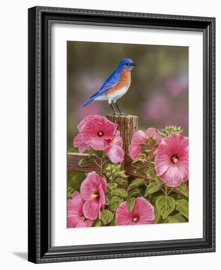 Bluebird with Hibiscus-William Vanderdasson-Framed Giclee Print