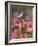 Bluebird with Hibiscus-William Vanderdasson-Framed Giclee Print