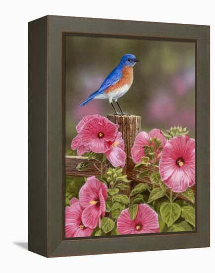 Bluebird with Hibiscus-William Vanderdasson-Framed Premier Image Canvas