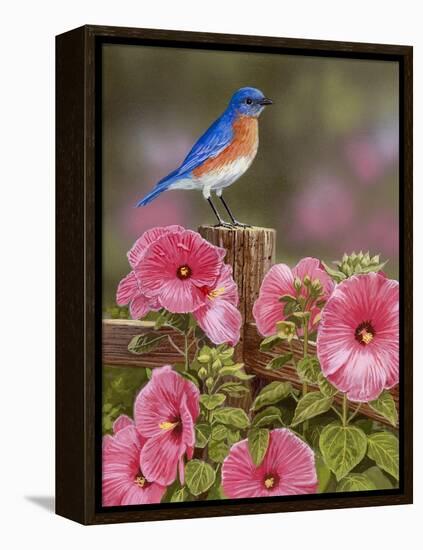 Bluebird with Hibiscus-William Vanderdasson-Framed Premier Image Canvas