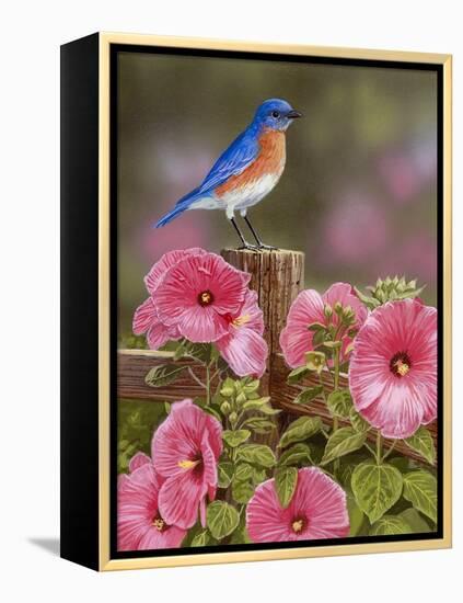 Bluebird with Hibiscus-William Vanderdasson-Framed Premier Image Canvas