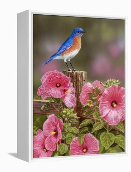 Bluebird with Hibiscus-William Vanderdasson-Framed Premier Image Canvas