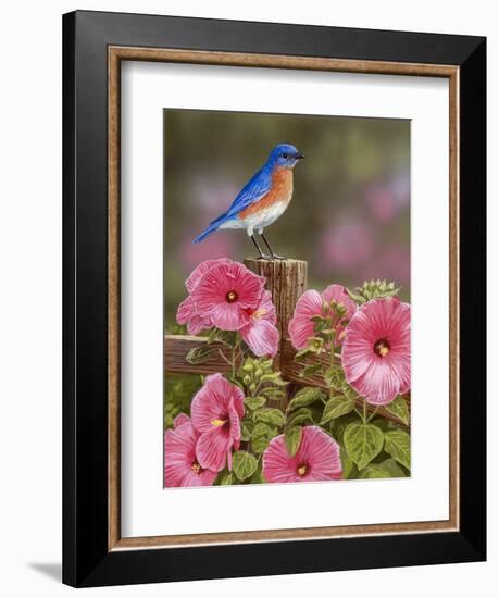 Bluebird with Hibiscus-William Vanderdasson-Framed Giclee Print