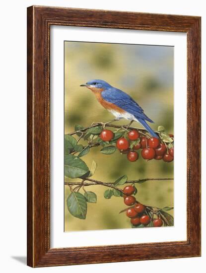 Bluebird-William Vanderdasson-Framed Giclee Print