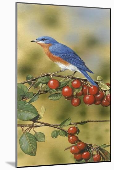 Bluebird-William Vanderdasson-Mounted Giclee Print