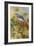 Bluebird-William Vanderdasson-Framed Giclee Print