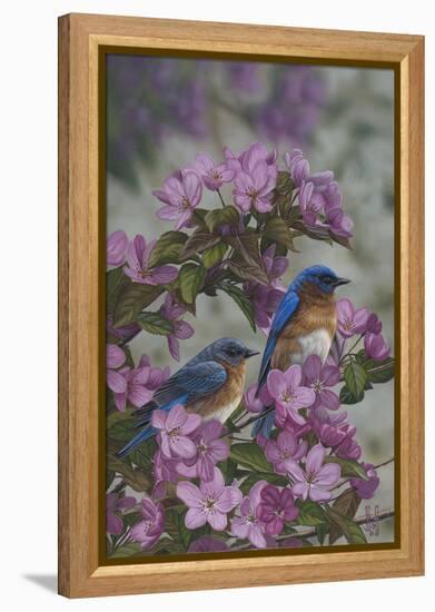 Bluebirds and Spring Blossoms-Jeffrey Hoff-Framed Premier Image Canvas