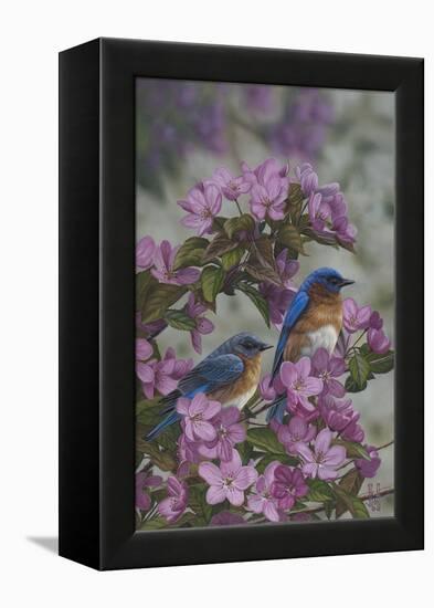 Bluebirds and Spring Blossoms-Jeffrey Hoff-Framed Premier Image Canvas