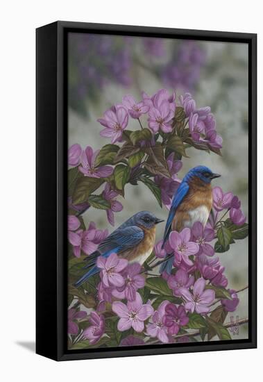 Bluebirds and Spring Blossoms-Jeffrey Hoff-Framed Premier Image Canvas