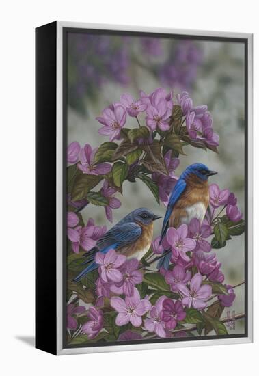 Bluebirds and Spring Blossoms-Jeffrey Hoff-Framed Premier Image Canvas