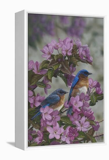 Bluebirds and Spring Blossoms-Jeffrey Hoff-Framed Premier Image Canvas