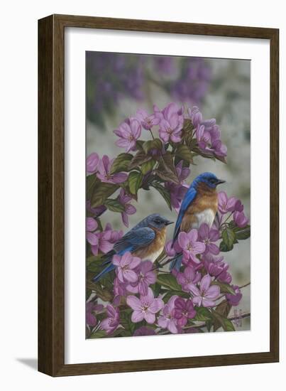 Bluebirds and Spring Blossoms-Jeffrey Hoff-Framed Photographic Print