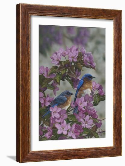 Bluebirds and Spring Blossoms-Jeffrey Hoff-Framed Photographic Print