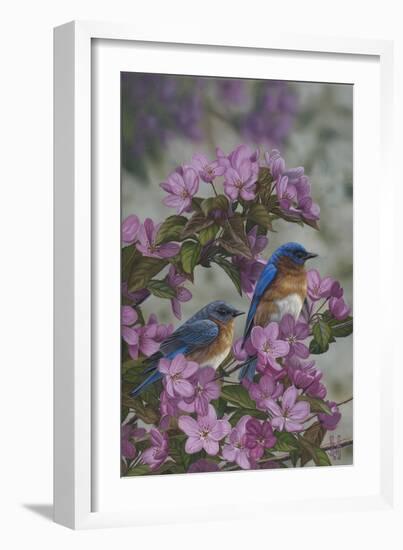 Bluebirds and Spring Blossoms-Jeffrey Hoff-Framed Photographic Print