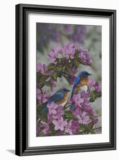 Bluebirds and Spring Blossoms-Jeffrey Hoff-Framed Photographic Print