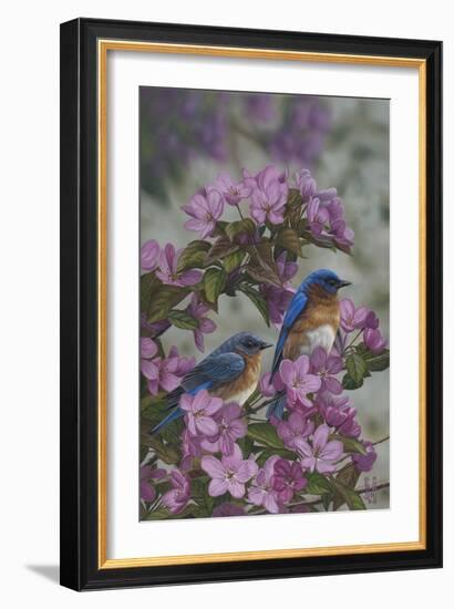 Bluebirds and Spring Blossoms-Jeffrey Hoff-Framed Photographic Print