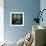 Bluebirds-Cherie Roe Dirksen-Framed Giclee Print displayed on a wall