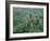 Bluebonnet and Texas Prickly Pear Cactus, New Braunfels, Texas, USA-Rolf Nussbaumer-Framed Photographic Print