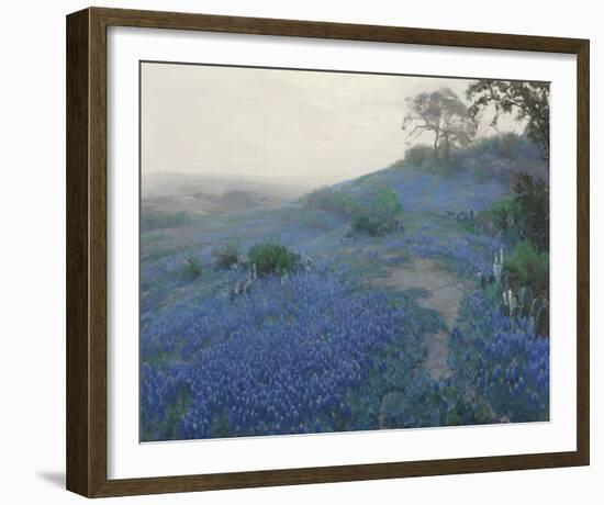 Bluebonnet Field, Early Morning, San Antonio Texas-null-Framed Giclee Print