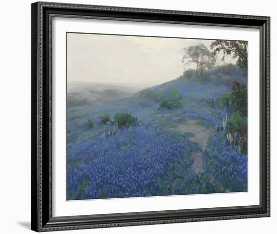 Bluebonnet Field, Early Morning, San Antonio Texas-null-Framed Giclee Print