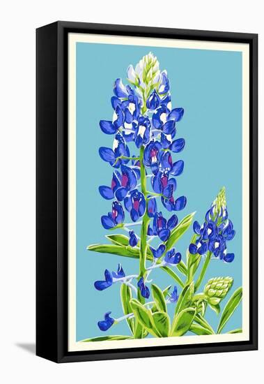 Bluebonnet-Lantern Press-Framed Stretched Canvas