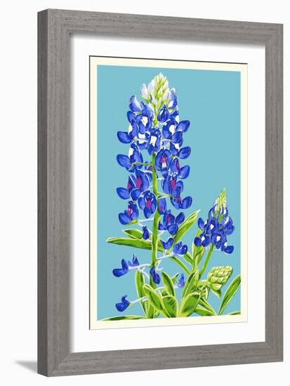 Bluebonnet-Lantern Press-Framed Art Print