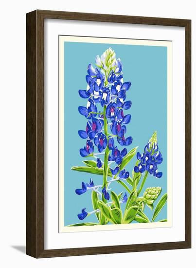 Bluebonnet-Lantern Press-Framed Art Print