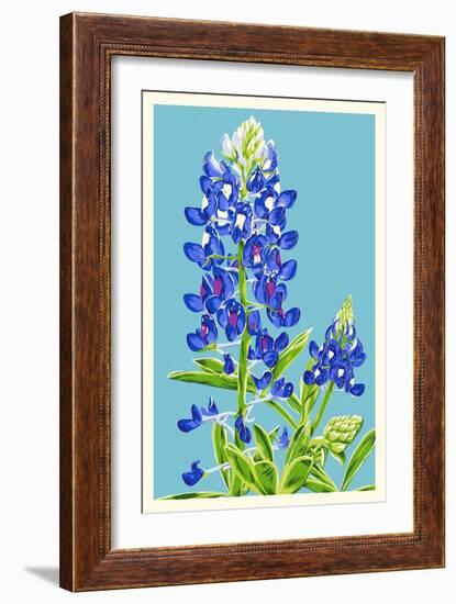 Bluebonnet-Lantern Press-Framed Art Print