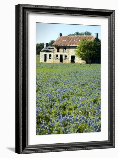 Bluebonnets 3-John Gusky-Framed Photographic Print