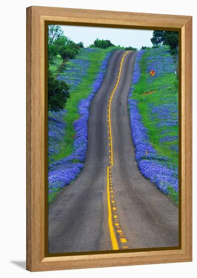 Bluebonnets Along a Highway-Darrell Gulin-Framed Premier Image Canvas