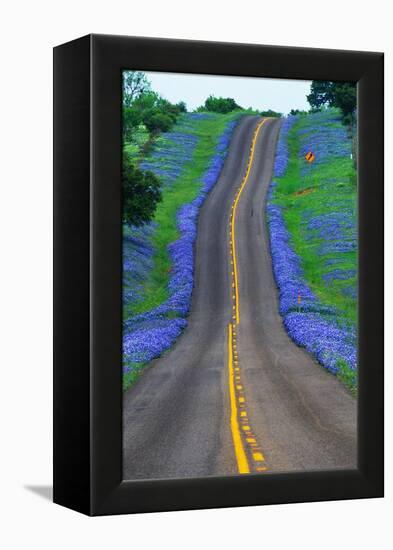 Bluebonnets Along a Highway-Darrell Gulin-Framed Premier Image Canvas