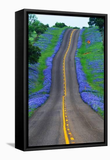 Bluebonnets Along a Highway-Darrell Gulin-Framed Premier Image Canvas