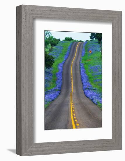 Bluebonnets Along a Highway-Darrell Gulin-Framed Photographic Print