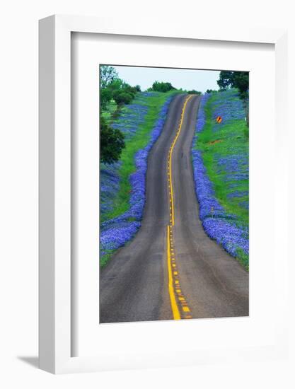 Bluebonnets Along a Highway-Darrell Gulin-Framed Photographic Print