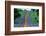 Bluebonnets Along a Highway-Darrell Gulin-Framed Photographic Print