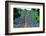 Bluebonnets Along a Highway-Darrell Gulin-Framed Photographic Print