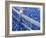 Bluebonnets Along Fenceline-Terry Eggers-Framed Photographic Print