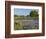 Bluebonnets and Oak Tree, Hill Country, Texas, USA-Alice Garland-Framed Photographic Print