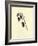 Bluebottlia Buzztilentia-Edward Lear-Framed Giclee Print