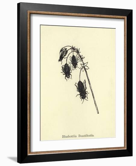 Bluebottlia Buzztilentia-Edward Lear-Framed Giclee Print