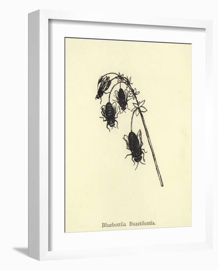 Bluebottlia Buzztilentia-Edward Lear-Framed Giclee Print