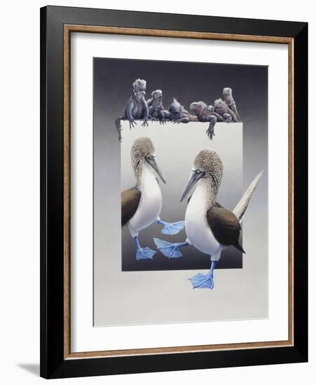 Bluefooted Boobies and Marine Iguanas-Harro Maass-Framed Giclee Print