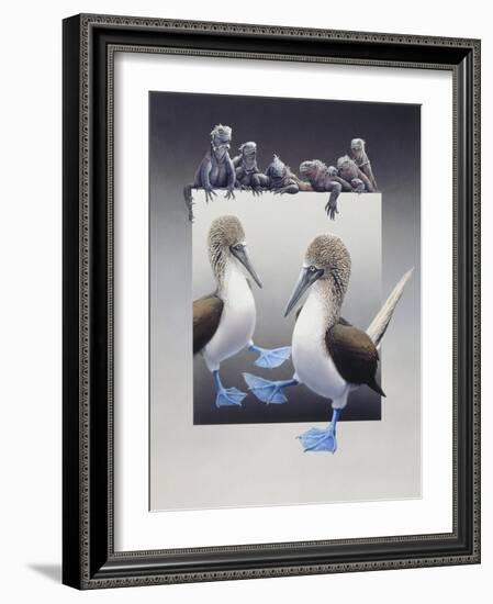 Bluefooted Boobies and Marine Iguanas-Harro Maass-Framed Giclee Print