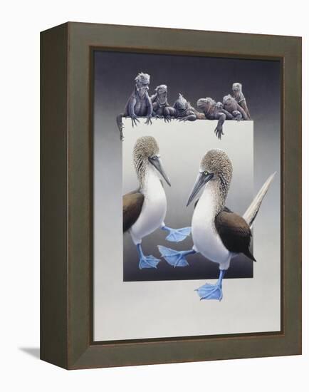 Bluefooted Boobies and Marine Iguanas-Harro Maass-Framed Premier Image Canvas