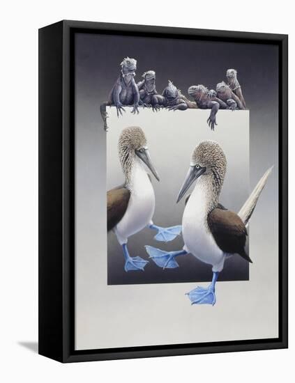 Bluefooted Boobies and Marine Iguanas-Harro Maass-Framed Premier Image Canvas