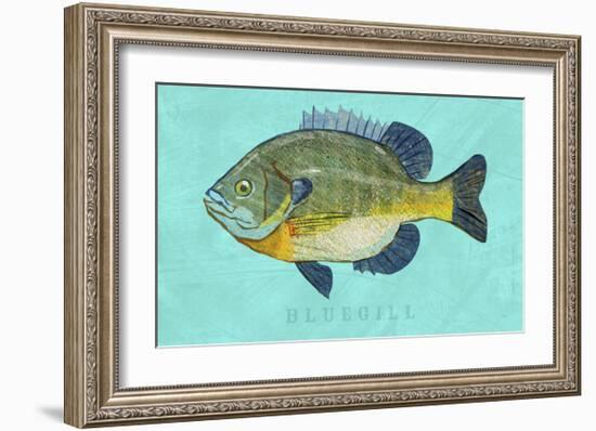 Bluegill-John Golden-Framed Art Print