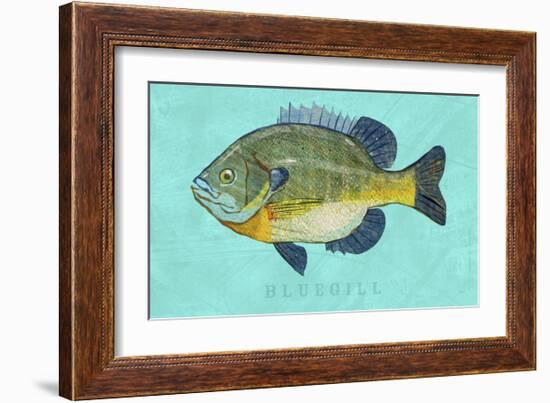 Bluegill-John Golden-Framed Art Print