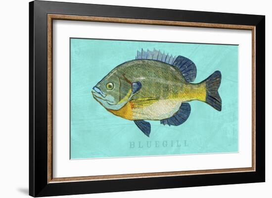 Bluegill-John Golden-Framed Art Print