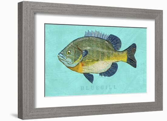 Bluegill-John Golden-Framed Art Print