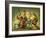 Bluegrass Boy Band-Dan Craig-Framed Giclee Print